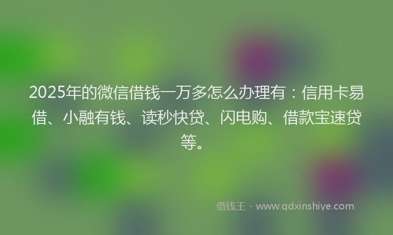 2025年的微信借钱一万多怎么办理有：信用卡易借、小融有钱、读秒快贷、闪电购、借款宝速贷等。