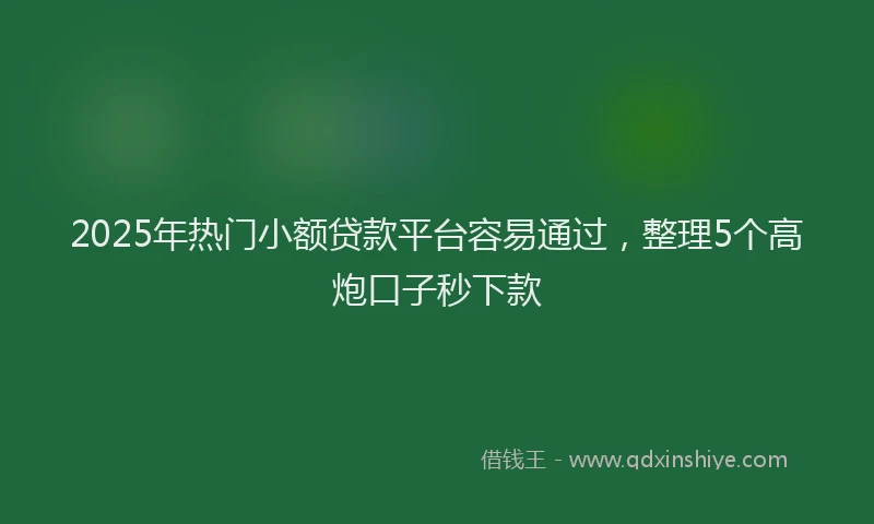 2025年热门小额贷款平台容易通过，整理5个高炮口子秒下款