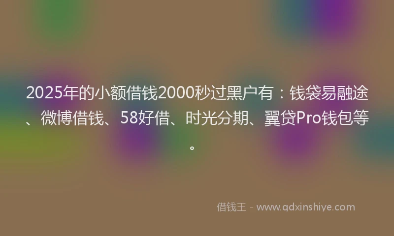 2025年的小额借钱2000秒过黑户有：钱袋易融途、微博借钱、58好借、时光分期、翼贷Pro钱包等。