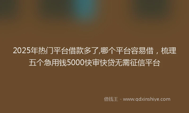 2025年热门平台借款多了,哪个平台容易借，梳理五个急用钱5000快审快贷无需征信平台
