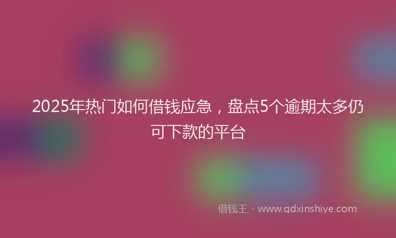 2025年热门如何借钱应急，盘点5个逾期太多仍可下款的平台