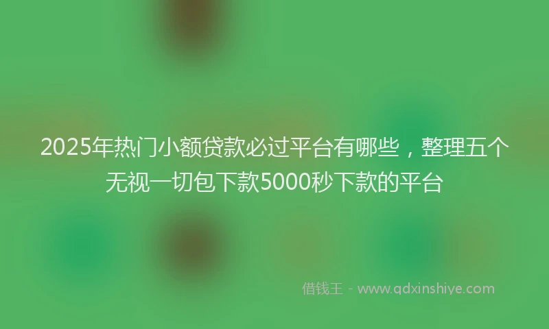 2025年热门小额贷款必过平台有哪些，整理五个无视一切包下款5000秒下款的平台