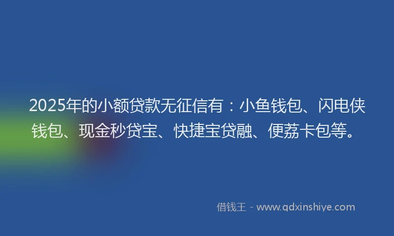 2025年的小额贷款无征信有：小鱼钱包、闪电侠钱包、现金秒贷宝、快捷宝贷融、便荔卡包等。
