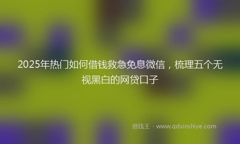 2025年热门如何借钱救急免息微信，梳理五个无视黑白的网贷口子