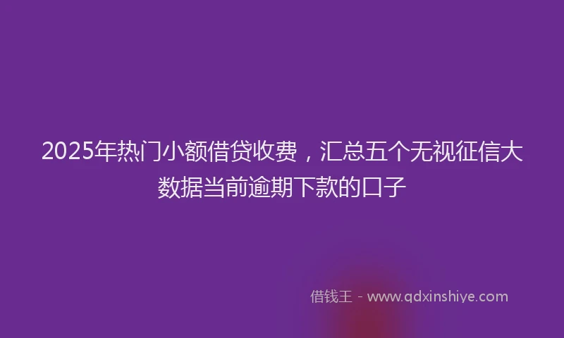 2025年热门小额借贷收费，汇总五个无视征信大数据当前逾期下款的口子