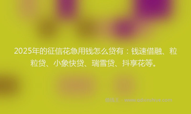 2025年的征信花急用钱怎么贷有：钱速借融、粒粒贷、小象快贷、瑞雪贷、抖享花等。