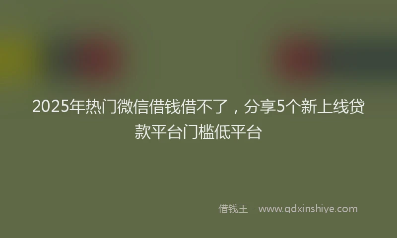 2025年热门微信借钱借不了，分享5个新上线贷款平台门槛低平台
