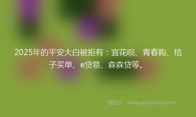 2025年的平安大白被拒有：宜花呗、青春购、桔子买单、e贷易、森森贷等。