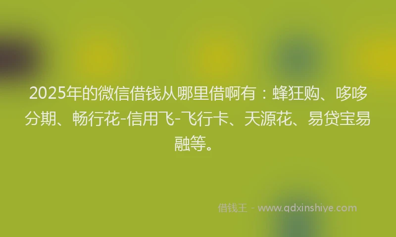 2025年的微信借钱从哪里借啊有：蜂狂购、哆哆分期、畅行花-信用飞-飞行卡、天源花、易贷宝易融等。