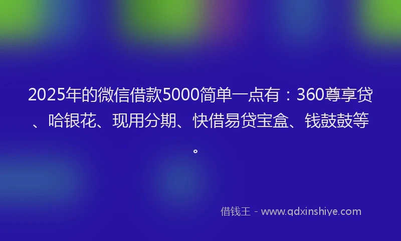 2025年的微信借款5000简单一点有：360尊享贷、哈银花、现用分期、快借易贷宝盒、钱鼓鼓等。