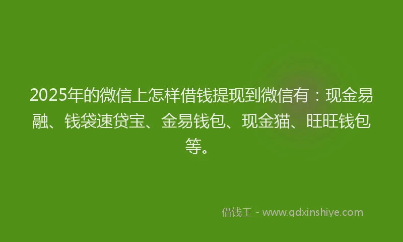 2025年的微信上怎样借钱提现到微信有：现金易融、钱袋速贷宝、金易钱包、现金猫、旺旺钱包等。
