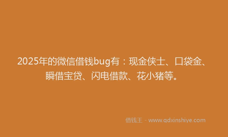 2025年的微信借钱bug有：现金侠士、口袋金、瞬借宝贷、闪电借款、花小猪等。