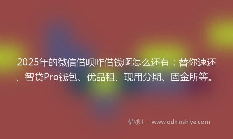 2025年的微信借呗咋借钱啊怎么还有：替你速还、智贷Pro钱包、优品租、现用分期、固金所等。