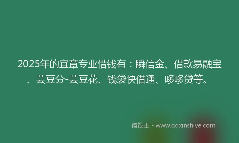 2025年的宜章专业借钱有：瞬信金、借款易融宝、芸豆分-芸豆花、钱袋快借通、哆哆贷等。