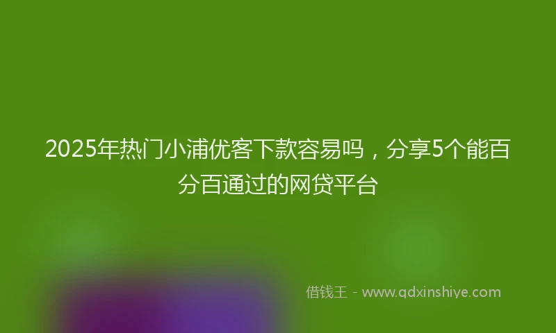 2025年热门小浦优客下款容易吗，分享5个能百分百通过的网贷平台