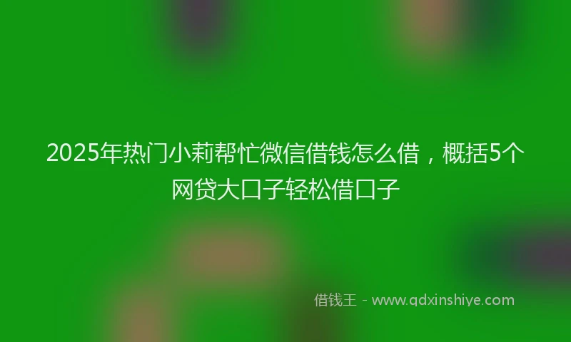 2025年热门小莉帮忙微信借钱怎么借，概括5个网贷大口子轻松借口子