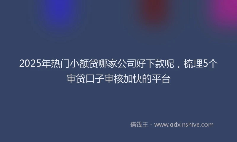 2025年热门小额贷哪家公司好下款呢，梳理5个审贷口子审核加快的平台