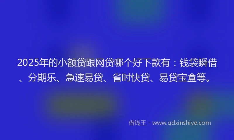 2025年的小额贷跟网贷哪个好下款有：钱袋瞬借、分期乐、急速易贷、省时快贷、易贷宝盒等。