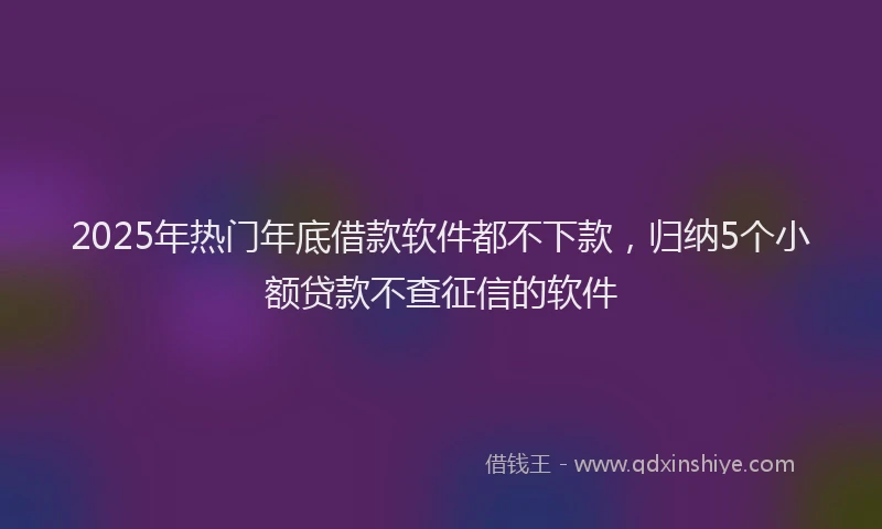 2025年热门年底借款软件都不下款，归纳5个小额贷款不查征信的软件