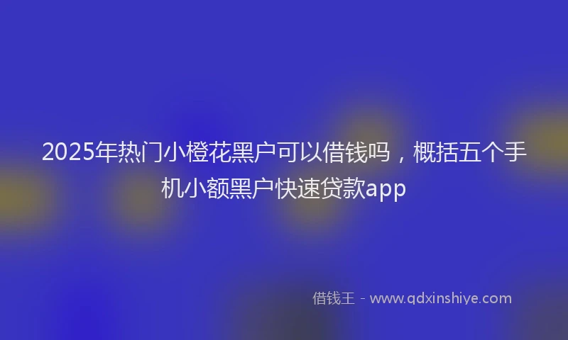 2025年热门小橙花黑户可以借钱吗，概括五个手机小额黑户快速贷款app