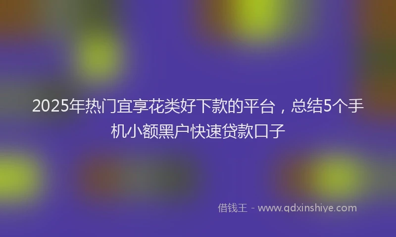 2025年热门宜享花类好下款的平台，总结5个手机小额黑户快速贷款口子