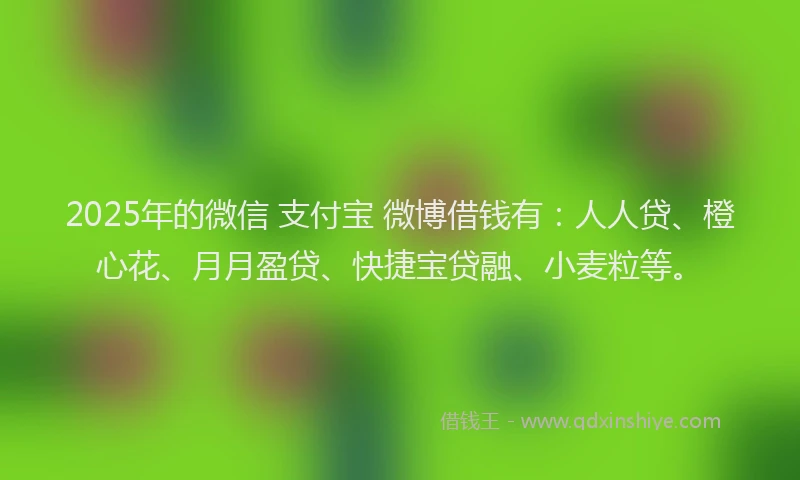 2025年的微信 支付宝 微博借钱有：人人贷、橙心花、月月盈贷、快捷宝贷融、小麦粒等。