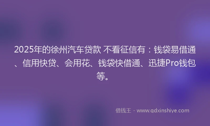2025年的徐州汽车贷款 不看征信有：钱袋易借通、信用快贷、会用花、钱袋快借通、迅捷Pro钱包等。