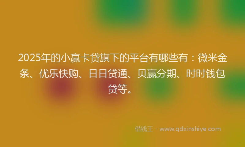 2025年的小赢卡贷旗下的平台有哪些有：微米金条、优乐快购、日日贷通、贝赢分期、时时钱包贷等。