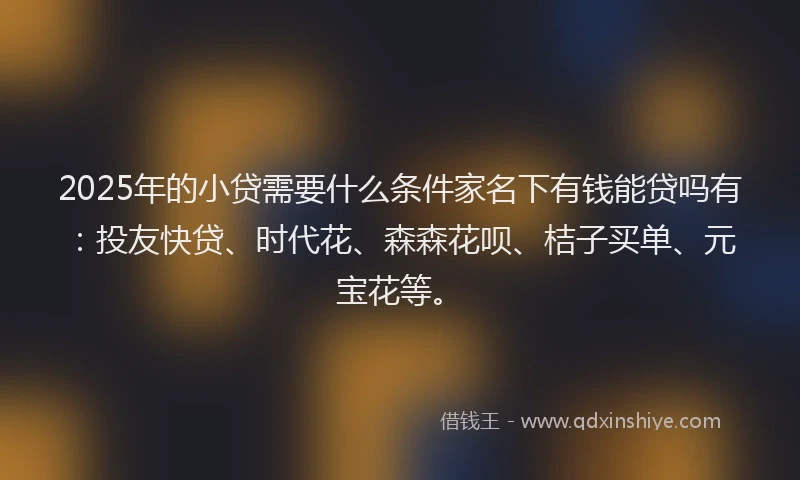 2025年的小贷需要什么条件家名下有钱能贷吗有：投友快贷、时代花、森森花呗、桔子买单、元宝花等。