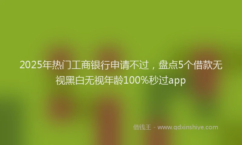 2025年热门工商银行申请不过，盘点5个借款无视黑白无视年龄100%秒过app