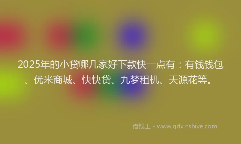 2025年的小贷哪几家好下款快一点有：有钱钱包、优米商城、快快贷、九梦租机、天源花等。