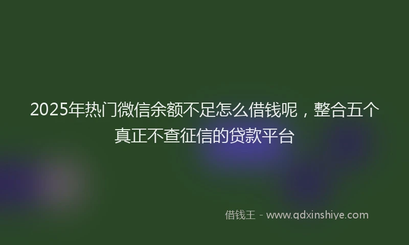 2025年热门微信余额不足怎么借钱呢，整合五个真正不查征信的贷款平台