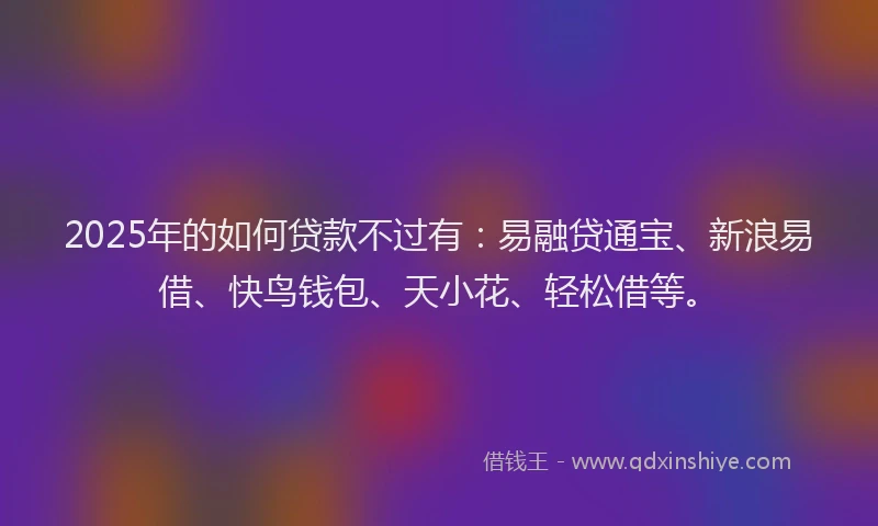 2025年的如何贷款不过有：易融贷通宝、新浪易借、快鸟钱包、天小花、轻松借等。