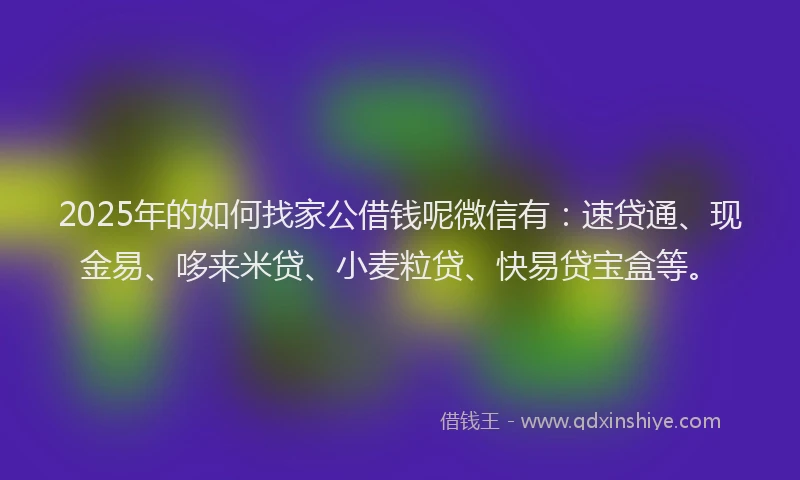 2025年的如何找家公借钱呢微信有：速贷通、现金易、哆来米贷、小麦粒贷、快易贷宝盒等。