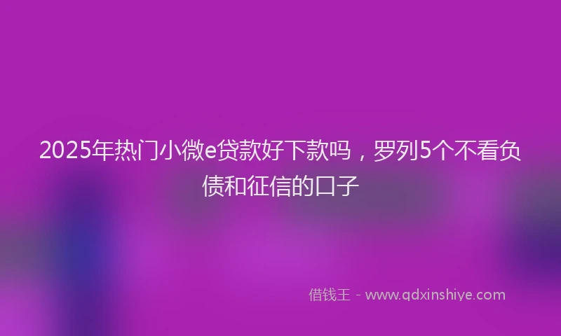 2025年热门小微e贷款好下款吗，罗列5个不看负债和征信的口子