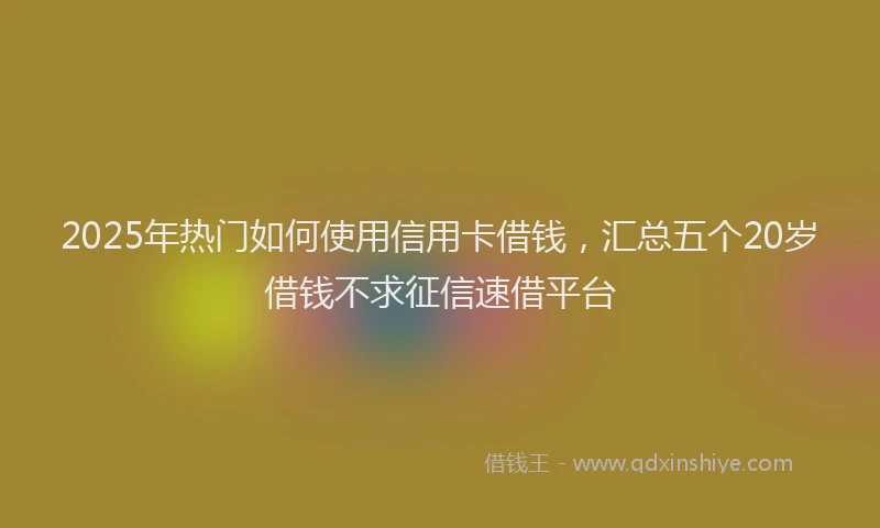 2025年热门如何使用信用卡借钱，汇总五个20岁借钱不求征信速借平台