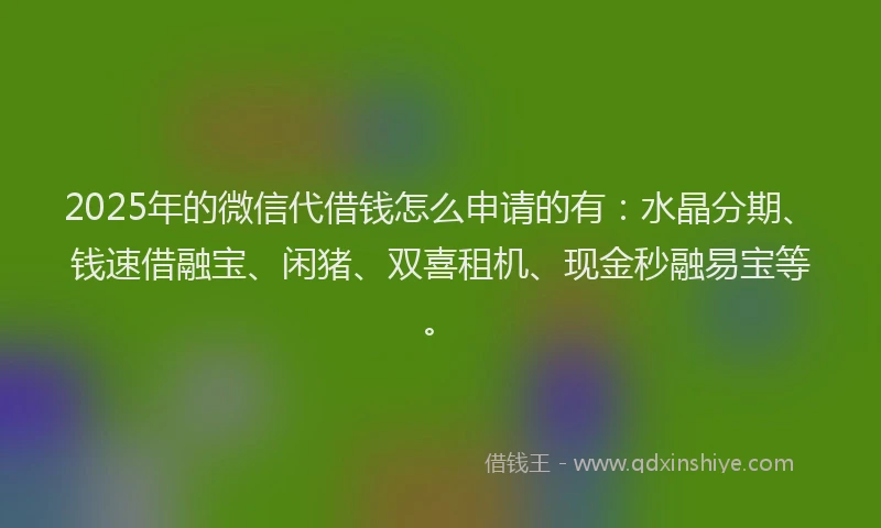 2025年的微信代借钱怎么申请的有：水晶分期、钱速借融宝、闲猪、双喜租机、现金秒融易宝等。