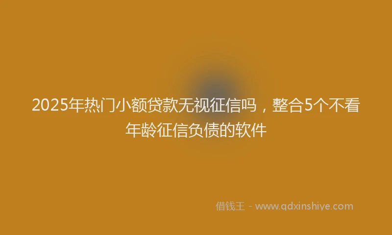 2025年热门小额贷款无视征信吗，整合5个不看年龄征信负债的软件