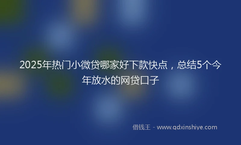 2025年热门小微贷哪家好下款快点，总结5个今年放水的网贷口子