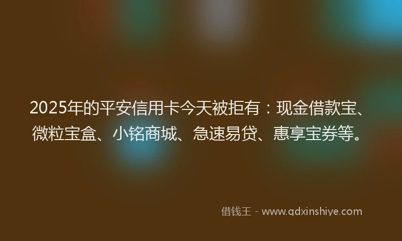 2025年的平安信用卡今天被拒有：现金借款宝、微粒宝盒、小铭商城、急速易贷、惠享宝券等。
