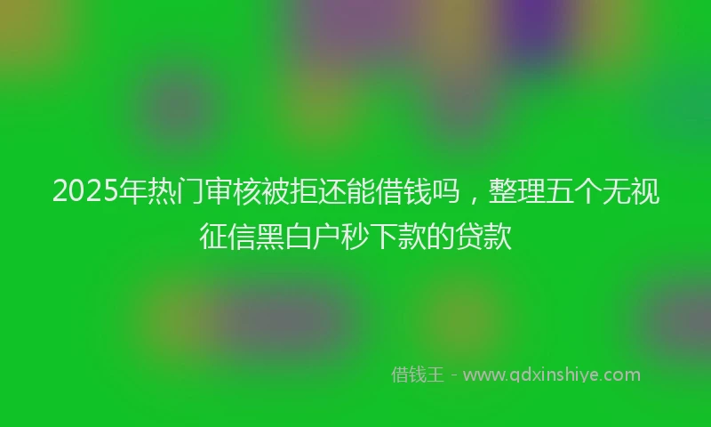 2025年热门审核被拒还能借钱吗，整理五个无视征信黑白户秒下款的贷款