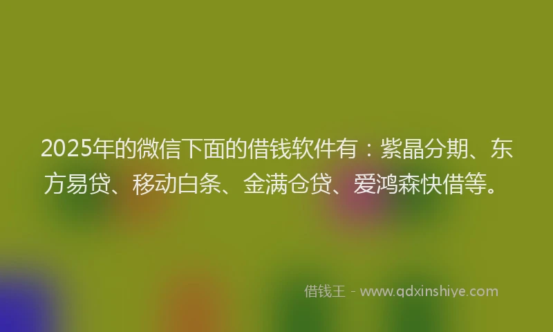 2025年的微信下面的借钱软件有：紫晶分期、东方易贷、移动白条、金满仓贷、爱鸿森快借等。