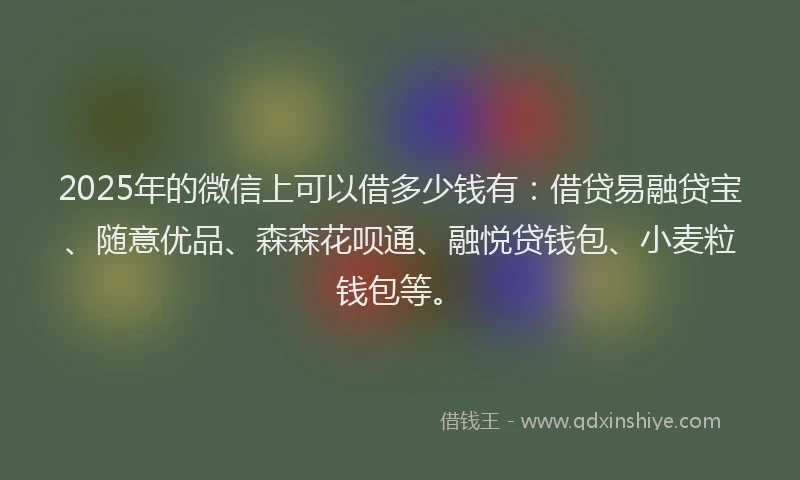 2025年的微信上可以借多少钱有：借贷易融贷宝、随意优品、森森花呗通、融悦贷钱包、小麦粒钱包等。