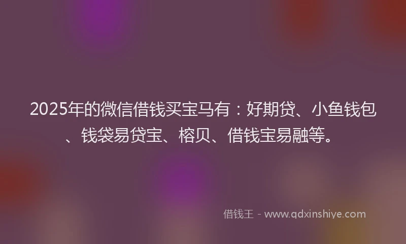 2025年的微信借钱买宝马有：好期贷、小鱼钱包、钱袋易贷宝、榕贝、借钱宝易融等。