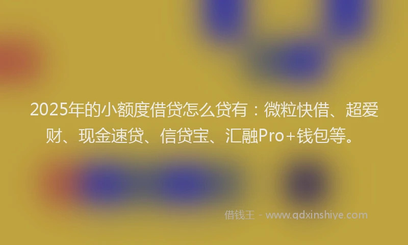 2025年的小额度借贷怎么贷有：微粒快借、超爱财、现金速贷、信贷宝、汇融Pro+钱包等。