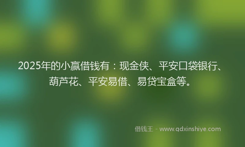 2025年的小赢借钱有：现金侠、平安口袋银行、葫芦花、平安易借、易贷宝盒等。