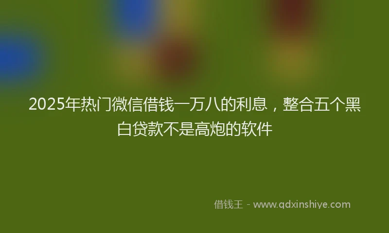 2025年热门微信借钱一万八的利息，整合五个黑白贷款不是高炮的软件