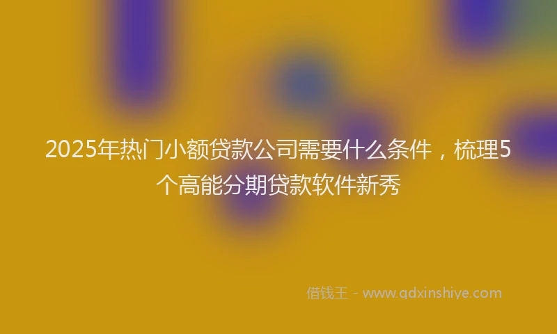 2025年热门小额贷款公司需要什么条件，梳理5个高能分期贷款软件新秀