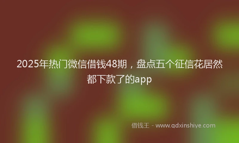 2025年热门微信借钱48期，盘点五个征信花居然都下款了的app