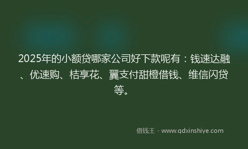 2025年的小额贷哪家公司好下款呢有：钱速达融、优速购、桔享花、翼支付甜橙借钱、维信闪贷等。